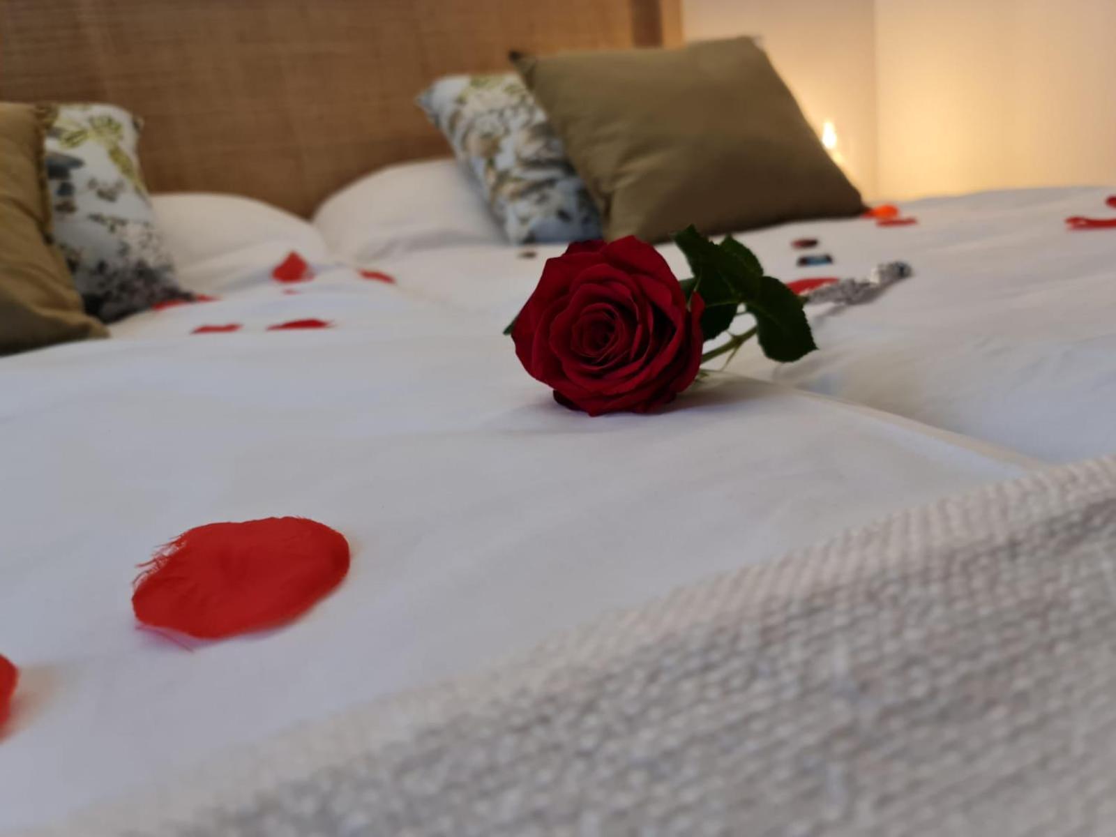 Hotel Camino De Las Estrellas Serranillos Zewnętrze zdjęcie